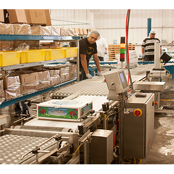 MotoWeigh® IMW In-Motion Checkweighers and Conveyor Scales 3